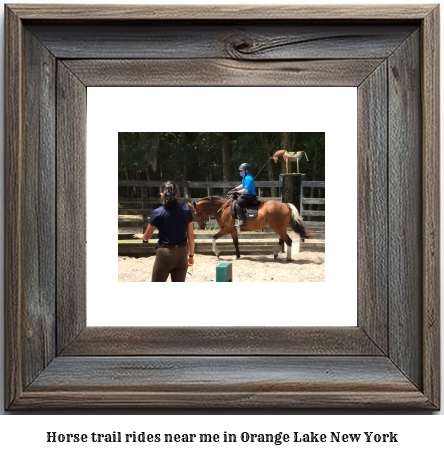 horse trail rides near me in Orange Lake, New York